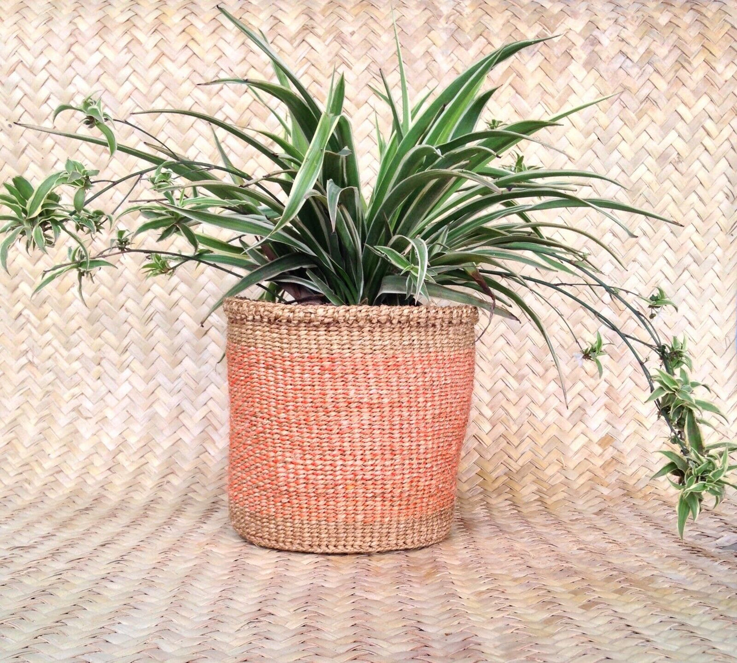 African Kiondo Basket Woven Sisal Storage Planter Kenyan Made Size 8 in /20.3 cm