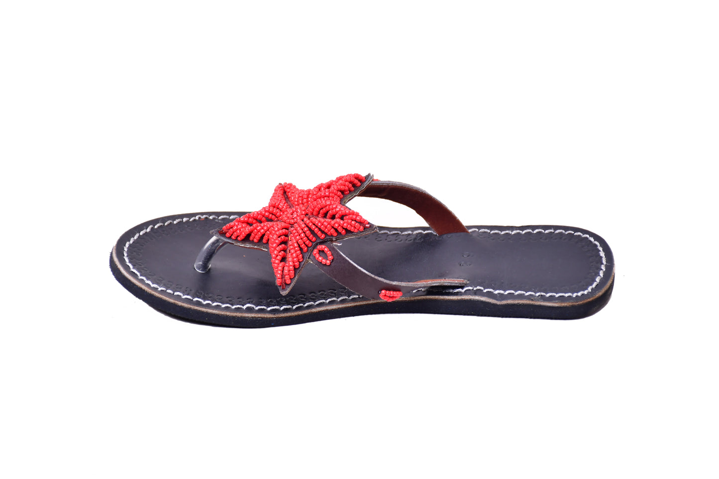 Starfish Red