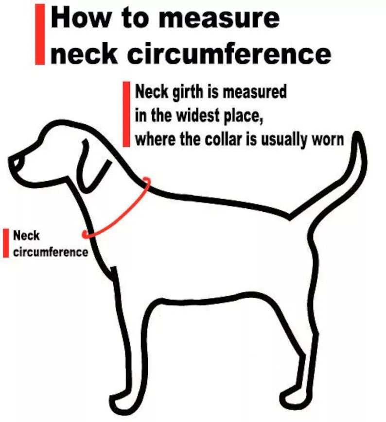 Handcrafted Maasai Dog Collar - Red White Geometric