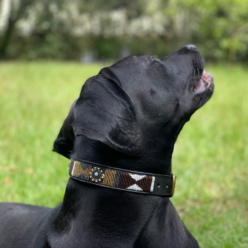 Beaded Dog Collars