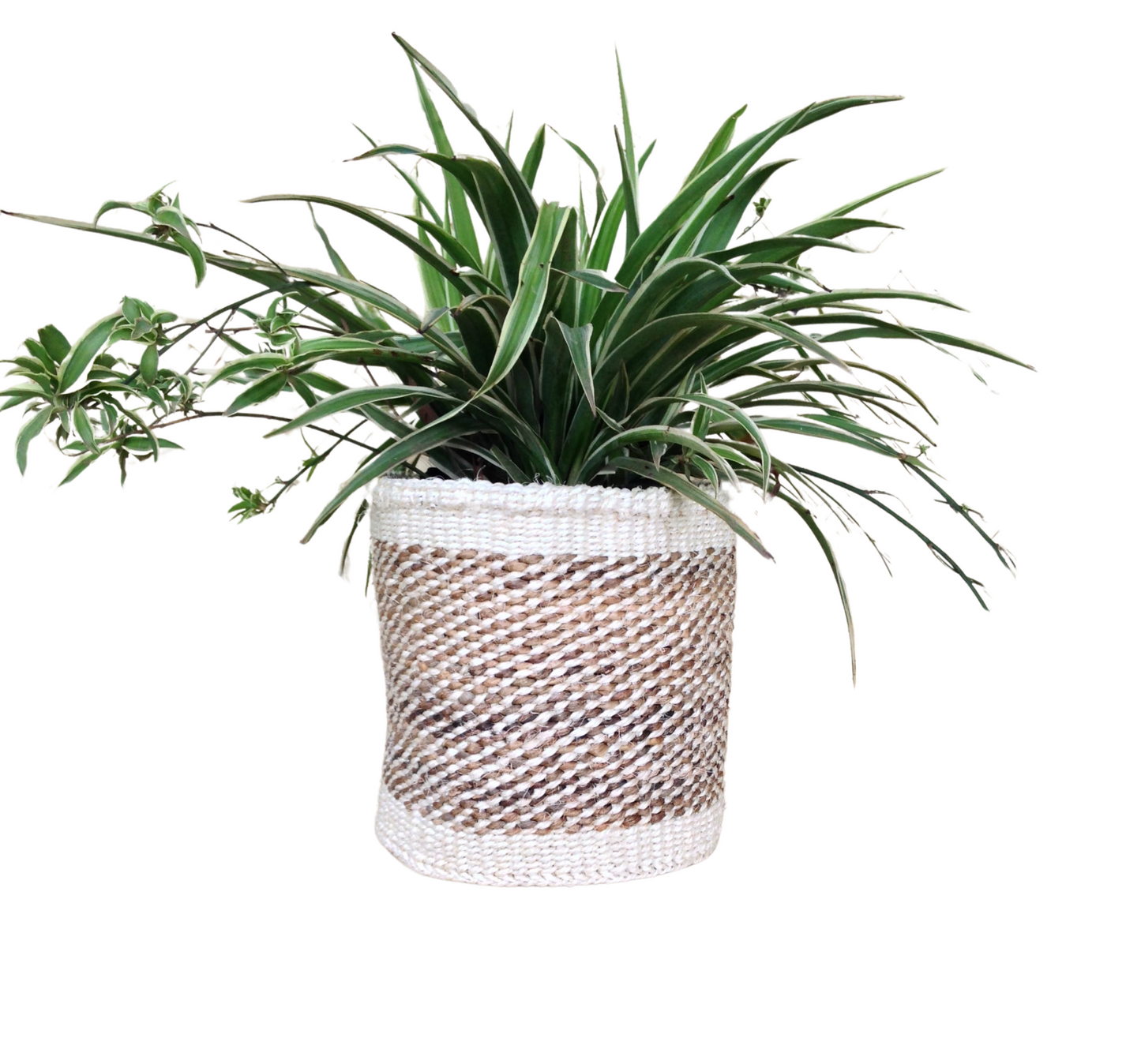 African Kiondo Basket Woven Sisal Storage Planter Kenyan Made Size 8 in /20.3 cm