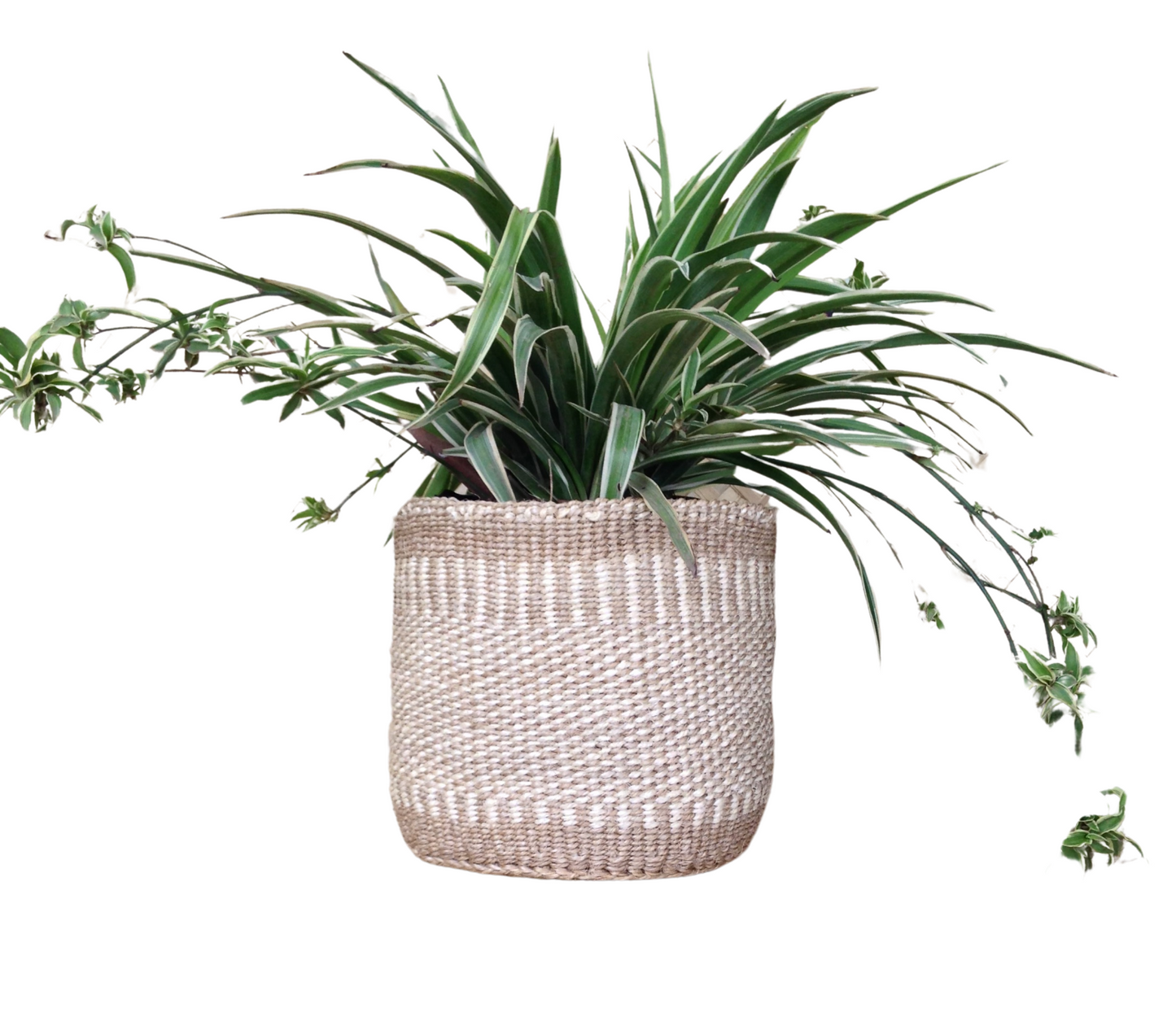 African Kiondo Basket Woven Sisal Storage Planter Kenyan Made Size 8 in /20.3 cm