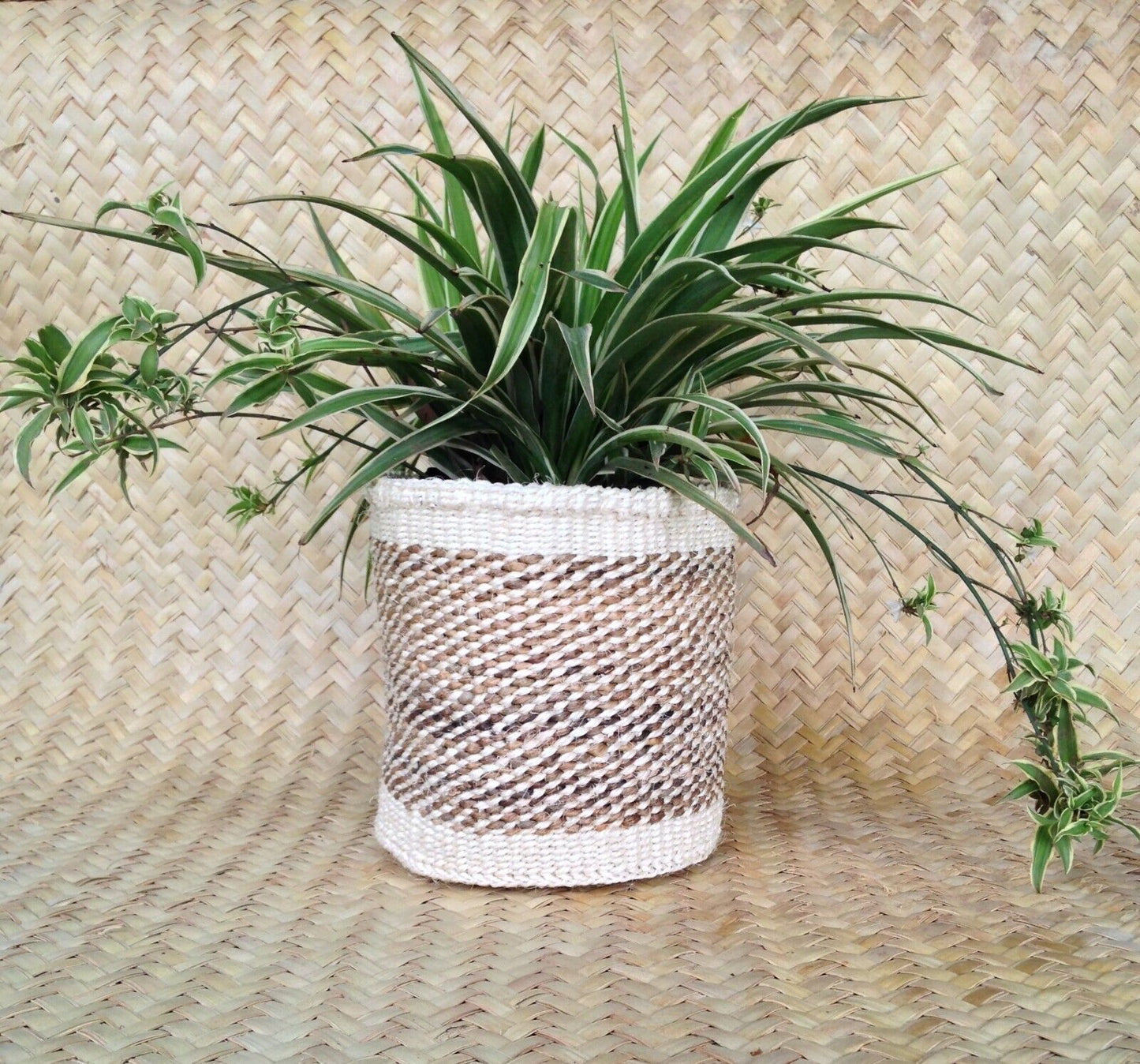 African Kiondo Basket Woven Sisal Storage Planter Kenyan Made Size 8 in /20.3 cm