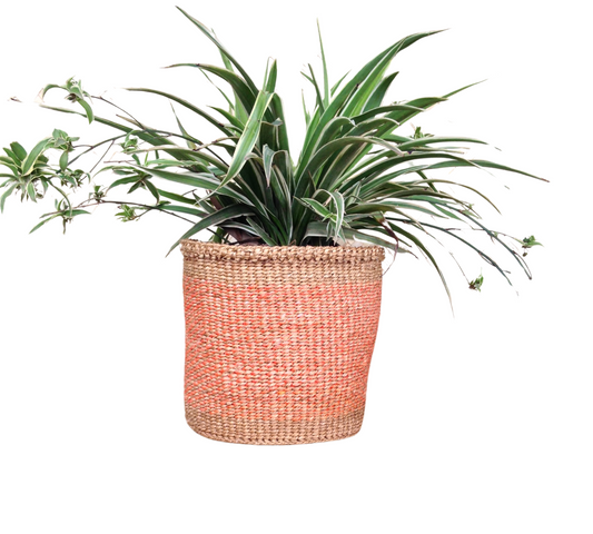 African Kiondo Basket Woven Sisal Storage Planter Kenyan Made Size 8 in /20.3 cm