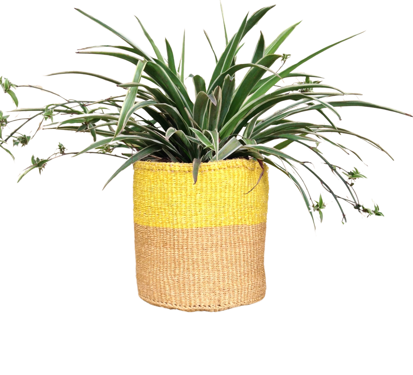 African Kiondo Basket Woven Sisal Storage Planter Kenyan Made Size 8 in /20.3 cm