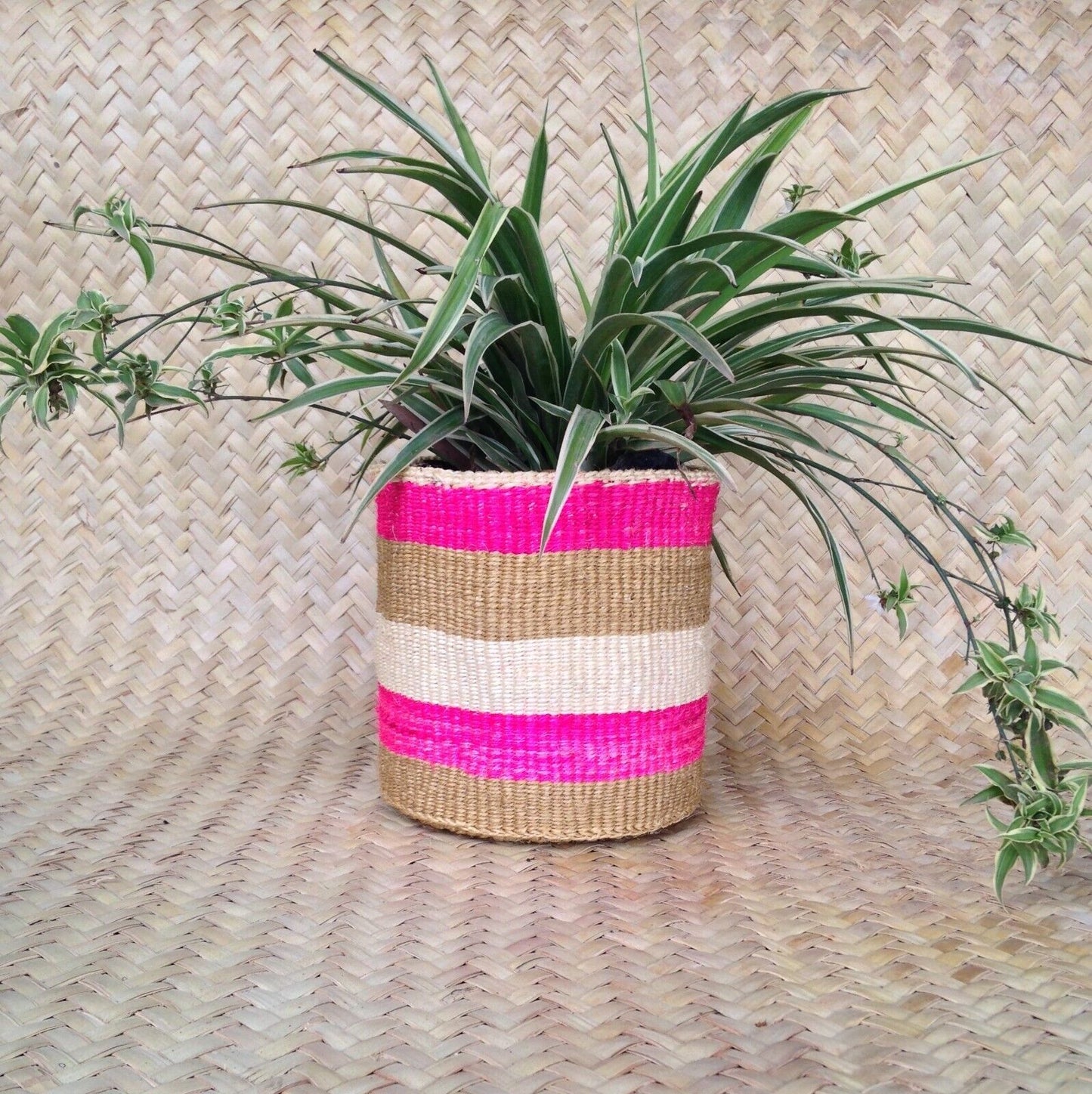 African Kiondo Basket Woven Sisal Storage Planter Kenyan Made Size 8 in /20.3 cm