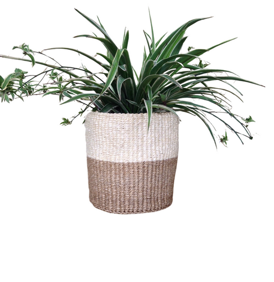 African Kiondo Basket Woven Sisal Storage Planter Kenyan Made Size 8 in /20.3 cm