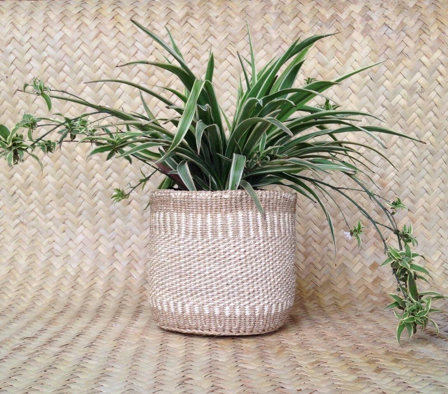 African Kiondo Basket Woven Sisal Storage Planter Kenyan Made Size 8 in /20.3 cm