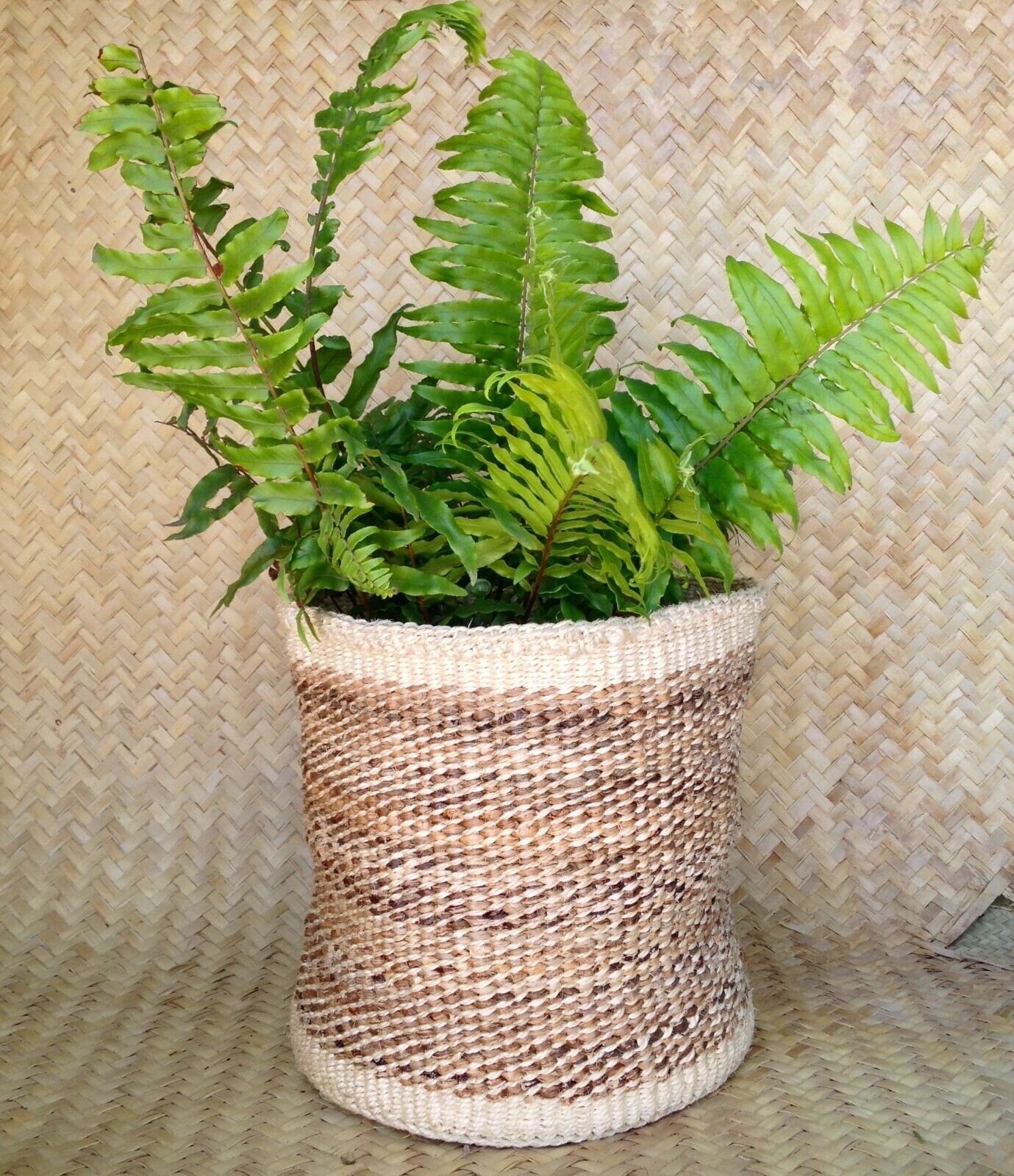 African Kiondo Basket Woven Sisal Storage Planter Kenyan Made Sizes 12", 10", 8"