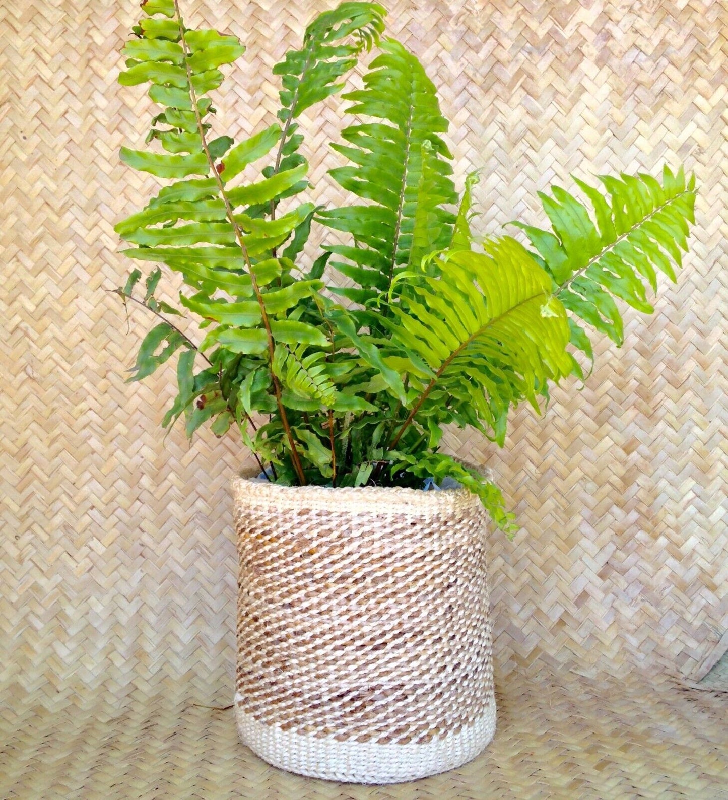 African Kiondo Basket Woven Sisal Storage Planter Kenyan Made 10 in/25.4cm Beige