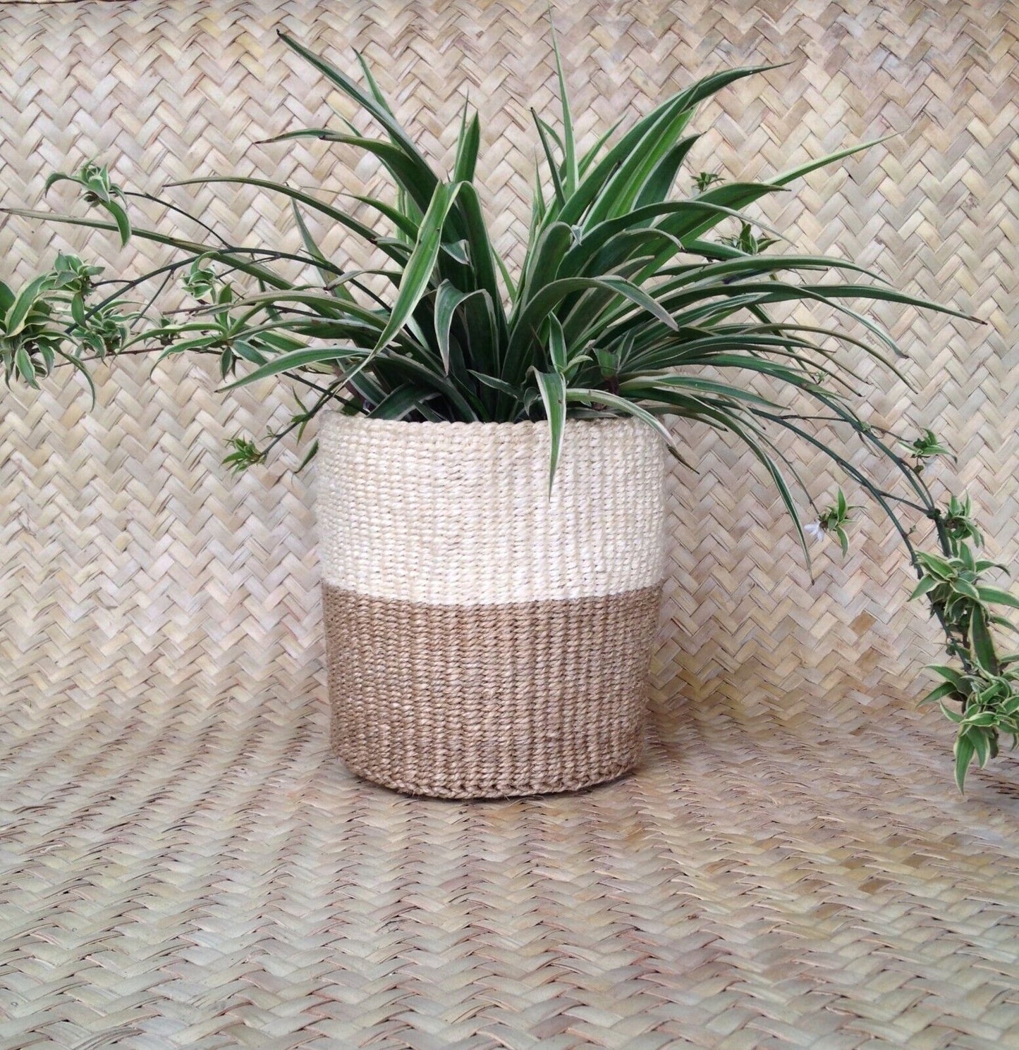 African Kiondo Basket Woven Sisal Storage Planter Kenyan Made Size 8 in /20.3 cm