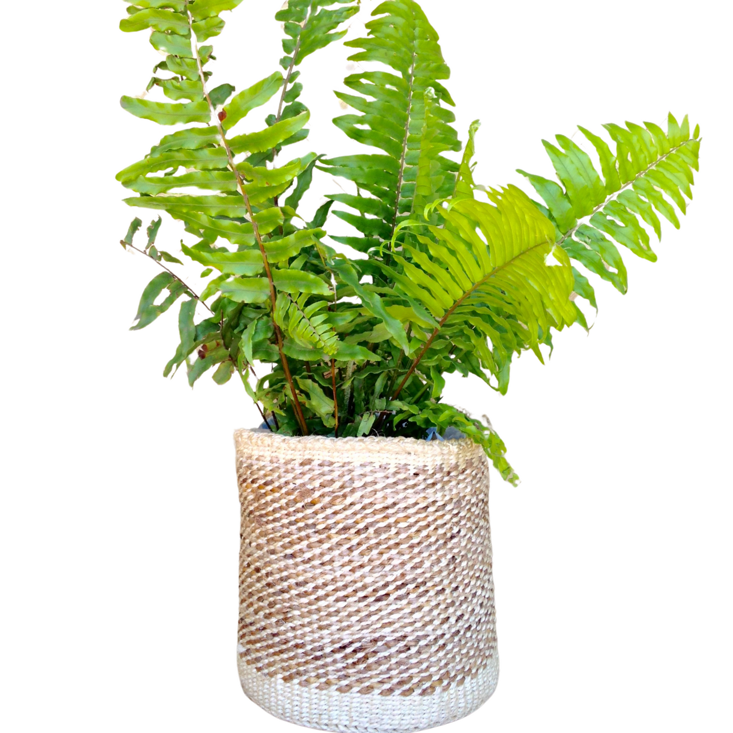 African Kiondo Basket Woven Sisal Storage Planter Kenyan Made 10 in/25.4cm Beige