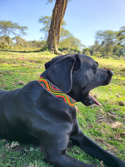 Handcrafted Maasai Dog Collar - Colorful Waves