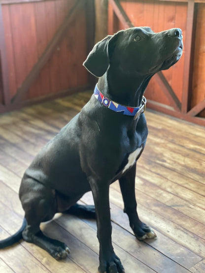 Handcrafted Maasai Dog Collar - Blue Red Geometric